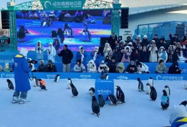 “冰雪+”叫响文旅IP！黑龙江深挖冰雪资源 催热冬日经济