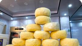 青海西宁：高原优品输出规模持续扩大