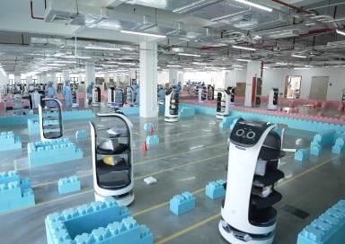 “智慧大脑”结合“灵活身体” 我国重点布局具身智能产业