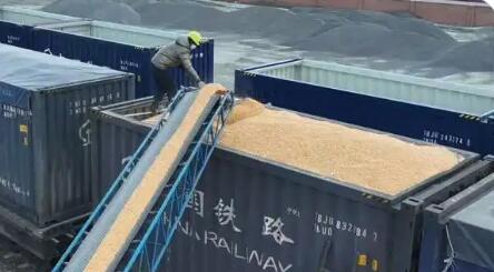 整合运输资源 开展多式联运 我国“北粮南运”进入畅通高效新阶段