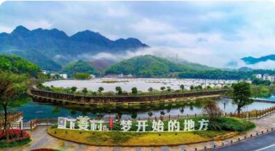 从“单打独斗”向“抱团共富”转变 浙江片区组团发展激活乡村振兴新动能