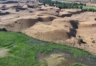 “十四五”我国林草种苗工作取得新进展 “三北”工程完成建设任务超2亿亩