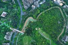 “十四五”期间，广东生态环境质量走在全国前列