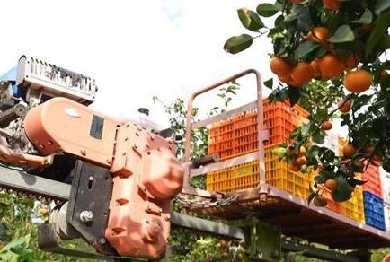 科技赋能“中国柑橘之乡” 智慧种植助力乡村振兴