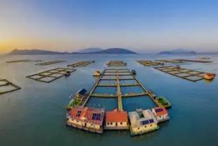 福建宁德：陆海共治 向美而行