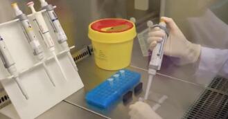 2025年我国累计发布226项食品农产品安全领域国家标准物质