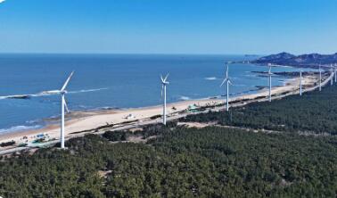 踏浪七千里 海韵谱华章——山东沿海城市“向海而兴”高质量发展观察