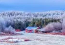 冬季内蒙古 千里冰雪盛情迎远客