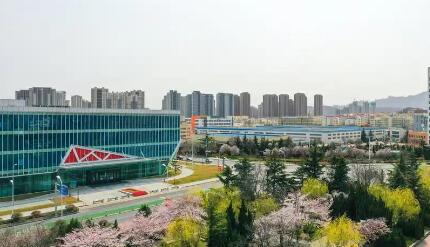 山东青岛自贸片区发布“创业启航”九条措施