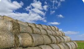 我国将精准发力促农业固体废弃物“变废为宝”