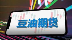 大商所豆油期货上市20年 产业参与度持续提升