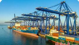 海南自由贸易港外贸经营主体备案数量超10万家