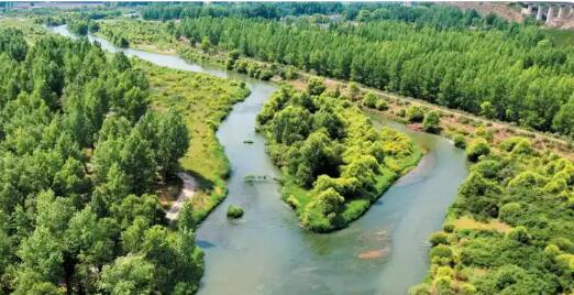 新修订的《重点生态保护修复治理资金管理办法》公布