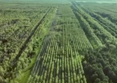 生态产品总值核算技术指南国家标准发布 助力“绿水青山”生态价值实现精准量化