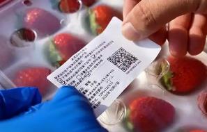 内蒙古全面推行承诺达标合格证制度—小小证件筑牢农产品质量安全防线