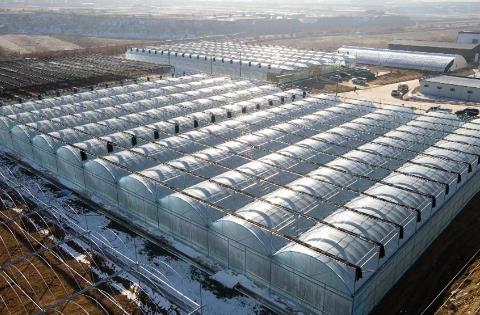 中国借助科技创新赋能农业发展