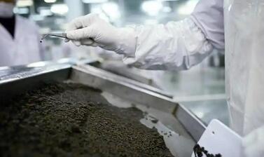 国产化 平民价  高端食材背后的中国产业突围