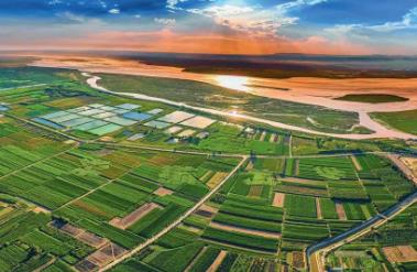 山西发力“土特产” 打造“特”“优”农业新高地