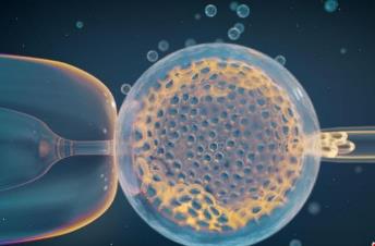 国际最新研究：常见遗传变异引发风险或是导致流产主因