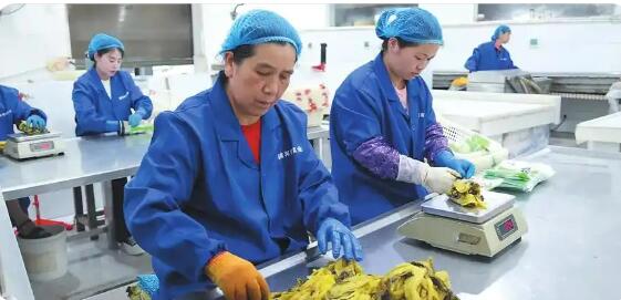 脱贫人口务工就业规模连续5年稳定在3000万人以上