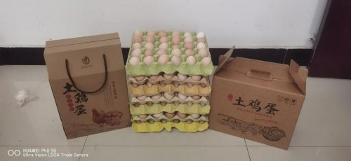 土鸡养出致富路——蕲春烟草驻村帮扶朗山村产业发展纪实