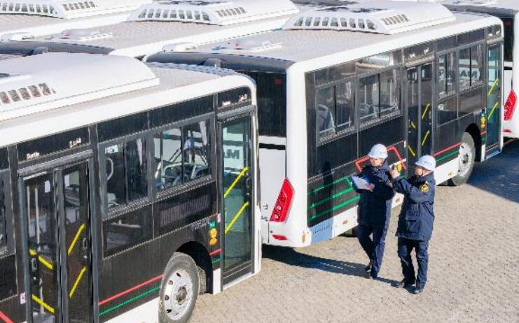 国产客车批量启运 中阿交通合作再添新篇