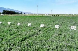 草业国家技术创新中心落地内蒙古