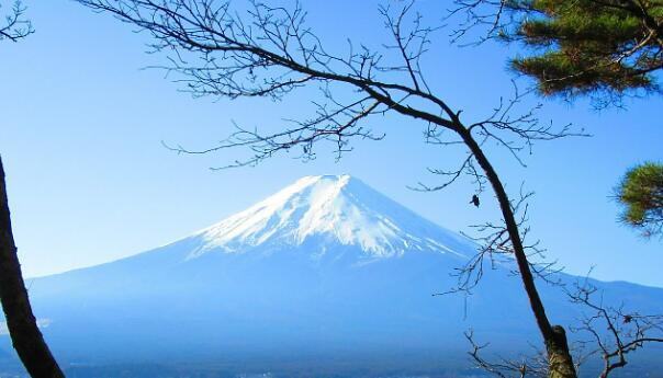 日本观光立国战略受挫