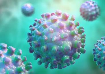 国家疾控局：我国尚未发现尼帕病毒病病例 疫情对我国产生的影响相对较小