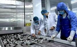 去年出口水产品近三十万吨 “泉州味”水产品“出海”规模创新高