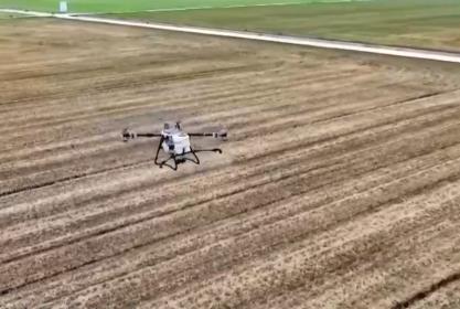 各地抓紧田间支招、精准管护全力“追苗情” 精准施策护航夏粮丰收