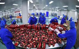 宁夏助力民营经济高质量发展再上新台阶