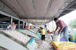 “大蒜之乡”打响出口“金蒜盘”