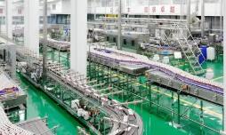 2025年宁夏商务工作稳中提质