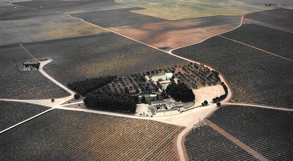 洛萨诺无醇、脱醇葡萄酒，凭什么成为年轻一代的“新酒桌共识”？