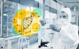 政策红利持续释放 AI制药发展提速