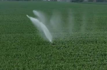 聚焦中央一号文件 高标准农田建设加快 冬修水利按下“快进键”