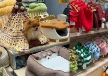 宠物户外用品行业亟待跨越“舒适区”