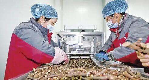 《中药工业高质量发展实施方案(2026—2030年)》解读