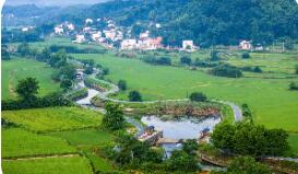 农业农村部：重点抓好八方面工作落实中央一号文件精神