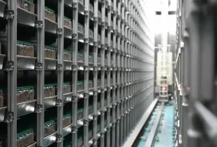 让“中国粮”主要用“中国种” 我国完成种业振兴“五年见成效”目标