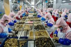 福建水产品出口连续13年居全国首位