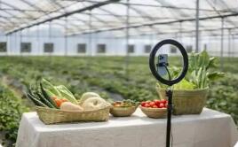 2025年农村网络零售额首次突破3万亿元