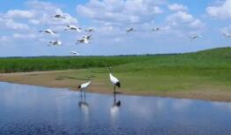 新修订条例如何高质量推进自然保护区建设？