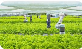 中央一号文件首提“人工智能+农业”