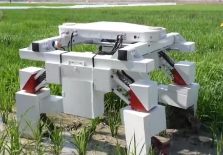 传统育种遇上AI 让农业更高效 丰收更可期