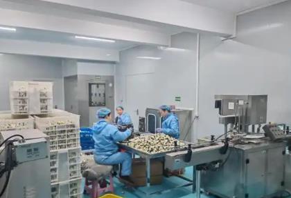 “中国白首乌之乡”江苏滨海：文化赋能“土特产” 打造多元消费场景