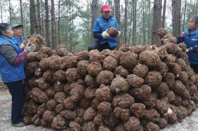 四川“十四五”药械产业交出高质量答卷