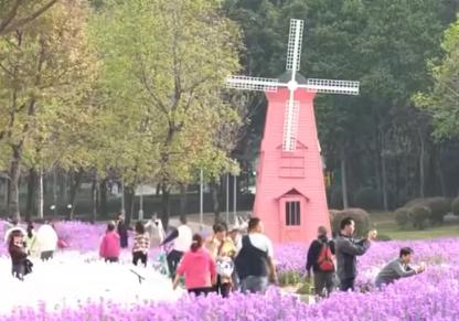 公园“玩”出“花样”新年味 科技、运动、生态为游客解锁多元游园新体验