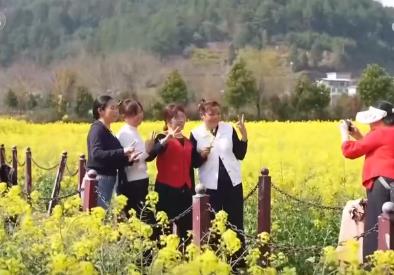 走“花路”、绘新景 农文旅融合让乡村“冬闲田”变“增收田”